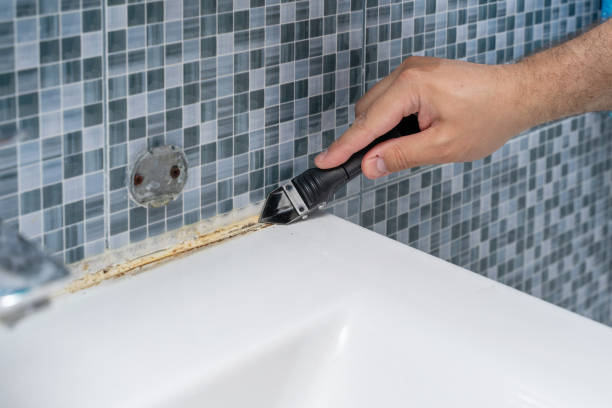Best Residential Mold Removal  in Schofield, WI