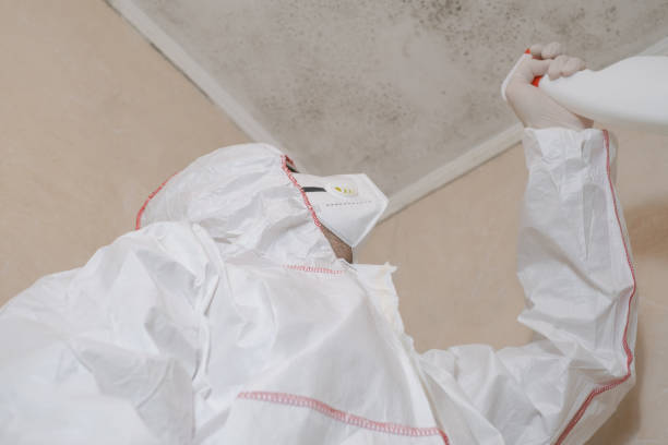 Best Certified Mold Removal  in Schofield, WI
